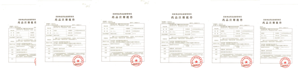 批件副本-2 批件副本-2